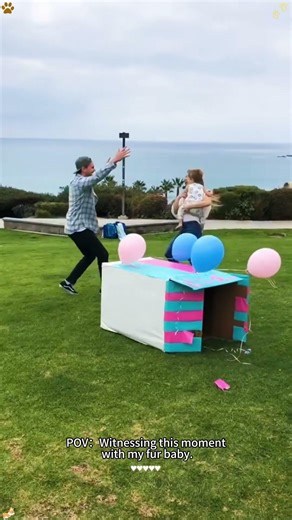 Gender reveal with fur baby #baby #babylove #fyp #usaus #girl #boy #dad #mom#reaction #dog