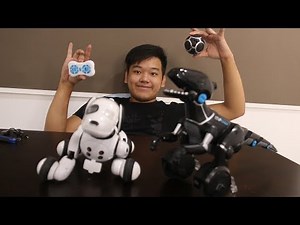 开箱试玩#2 - 机器宠物~