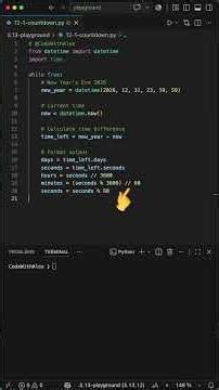 This Python Script Ticks Down to New Year