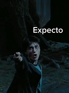 Expecto Patronum vs Expensive Petroleum: A Hilarious Showdown