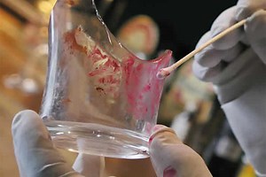 Career Option in Forensic Science | Forensic Science Careers and Courses in India