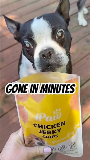 All 3 Dogs Went Crazy For These Treats | Amazon Must Have