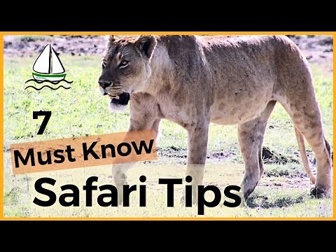7 BEST AFRICAN SAFARI TIPS -(Tanzania-Serengeti, Ngorongoro Crater, Manyara, Tarangire) #33