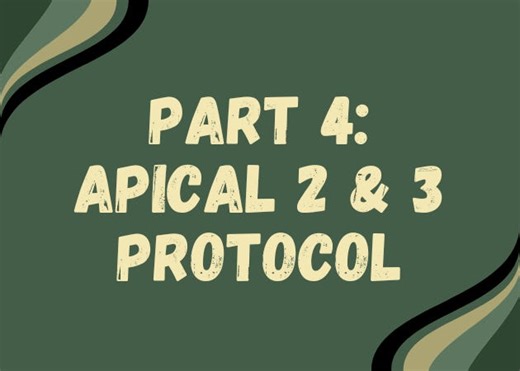 Apical 2 and 3: Acquisition, Angles, and Accuracy