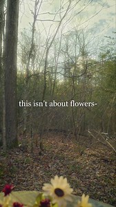Fake Flower Care: Water Has No Effect