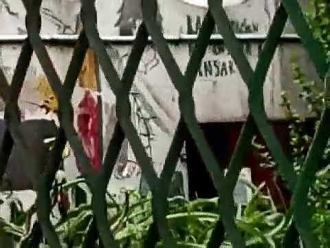 A la Escuela Sarmiento (Saavedra 540 - Venado Tuerto)