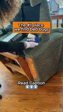 The #1 Place We Find Bed Bugs (And It's Not Always the Mattress) | Rock Pest Control