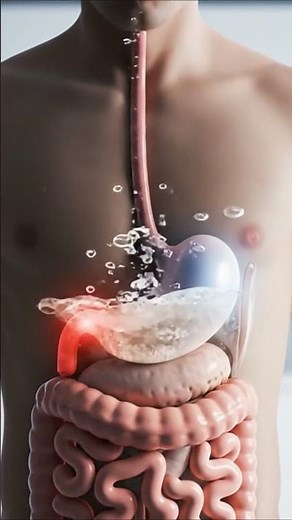 What Happens When You Drink Soda on an Empty Stomach 🥤