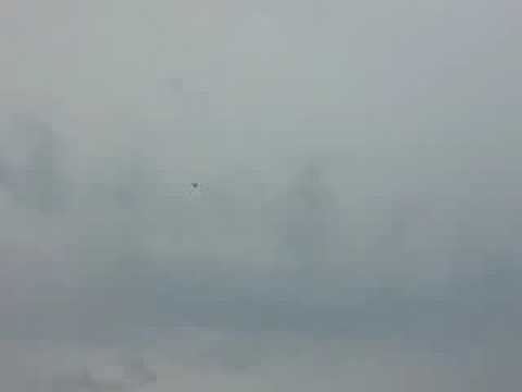 World Models Midget Mustang Landing