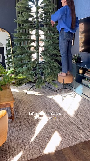The ladder is out, the tree is assembled, and now we fluff 🌲🫶🏻 #christmastree #christmasdecor #christmashomedecor #12footchristmastree #homechristmasdecor #instachristmas #christmasiscoming🎄 #cosychristmas #cosychristmasnights #christmashome #christmashomedecor #letitsnow #lastchristmas #itsthemostwonderfultimeoftheyear🎄 #alliwantforchristmasisyou #cozyness | Sundays With Perry