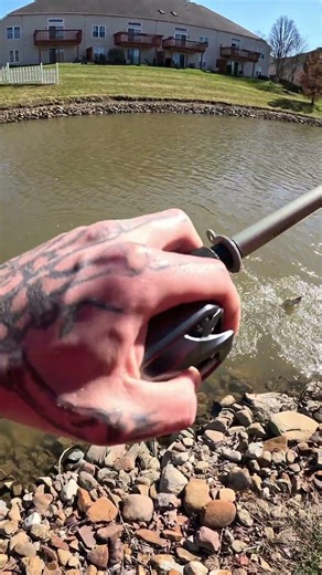 LOSING MY 2026 PB BASS #fishing #outdoors