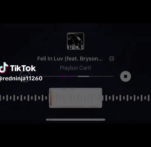 Playboi Carti and Bryson Tiller: Fell in Love