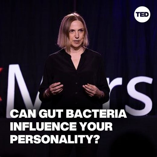 Your gut and your brain speak the same language, says science journalist Kathleen McAuliffe. Here’s how their “conversations” affect your personality, your appetite and even your memory: http://t.ted.com/DdsHFyV | TED