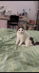 When someone said : you're so cute Me: seriously �� | 𝑯𝒆𝒚