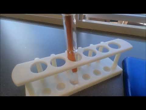 Calcium Carbonate and Hydrochloric Acid Reaction