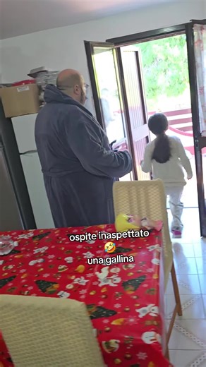 Ospite Inaspettato: Una Gallina in Famiglia