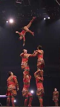 The Troupe Brothers Return in 2026! | Ringling