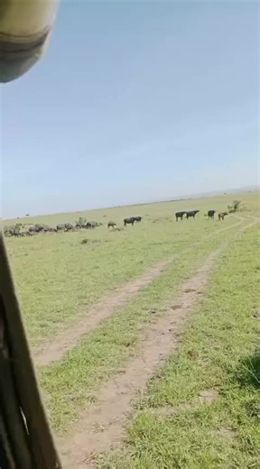 maa_diaries (@maa_diar)’s videos with original soundmaa_diaries