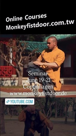 Monkey Kung-Fu Seminar in Copenhagen 19-21 June