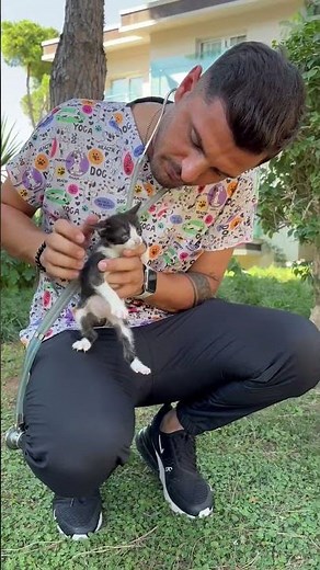 Katzen im TUI MAGIC LIFE Masmavi liebevoll umsorgt
