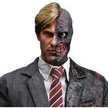 Brain Differences AO1 AO2 AO3