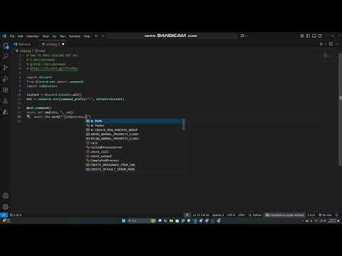 how to make discord rat