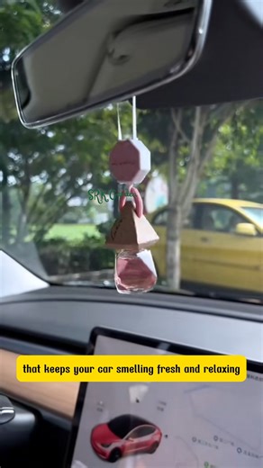 Luxury Essential Oil Diffuser for Cars | Phoenix Nursery