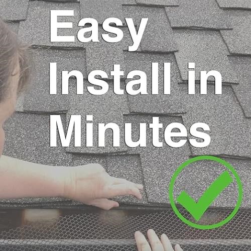 Stop leader and gutter clog from leaves and branches