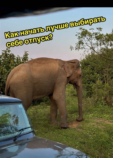 В видео мы говорим о туристической выставке Balttour 2026. Это главное событие года для всего туризма. Там будут представители 27 стран, отели, турагенты и туроператоры. Мы тоже участвуем, уже подготовили для вас подарочки! Ищите ALIDA TŪRS на выставке. WA 371 29 520 573 alfa@alida.lv ☎️66 220 220 📍Blaumaņa iela 6, Rīga #туризм #советы #отпуск #мнениеэксперта #латвия