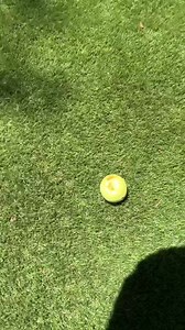 342K views · 30K reactions | Y’all my garden is experiencing the overflow . And sometimes the small blessings that come from the overflow are just enough for you!!! I love you!! | Tabitha Brown | Facebook