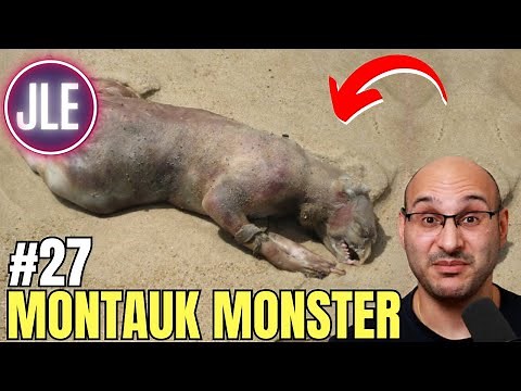 They Found a 'MONSTER' Washed up on the Beach