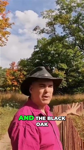 Prairie Fire: Watch Tall Grass Thrive with Controlled Burns! #shorts