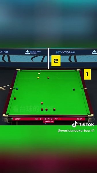 Cazoo 。･:*:･(✿◕3◕)❤ on TikTok