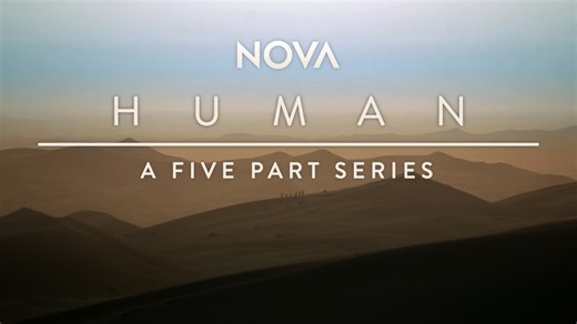 NOVA l PBS HUMAN, a NEW five-part series, premieres on September 17 with Part 1 "Origins." Tune in to WPBS Wednesdays at 9 pm to follow the epic story of Homo sapiens as they outlast other human species and spread across the globe. | WPBS-TV | Facebook