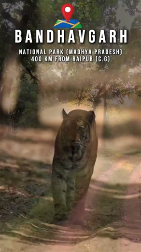 to chahna tours and travel video editor Arun Jagota