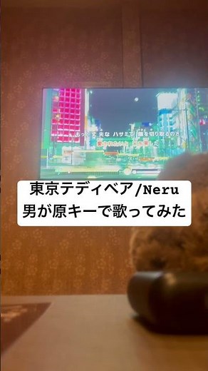 【カラオケ】東京テディベア/Neru 男が原キーで歌ってみた【一発録り】