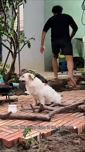 Lala learns to cook in the new outdoor kitchen! | Monkey LaLa