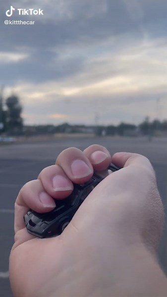 Black is My Happy Color: Celebrating Toys and Cars