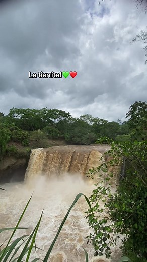 Salto del Armadillo: Lujuria Natural en Manabí