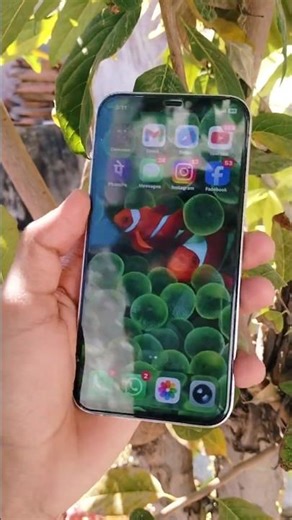 iPhone 12 Pro Photo Quality