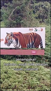 2.8K views | besar pulak tu video TT miey_8383 | Hanya kelakar | Facebook