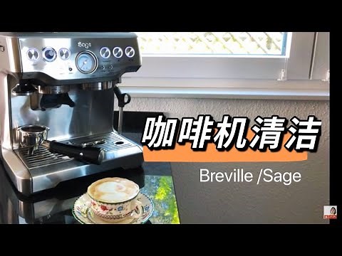 Breville /sage 875 咖啡机清理 | Breville Barista Express| Sage咖啡机清理：超级简单 包会！