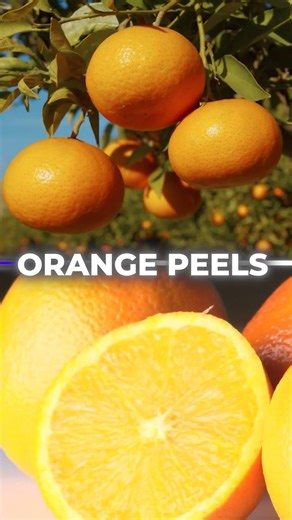 Orange Thokka Tho Perfumes Ela Chestaru? Crores Business Secret