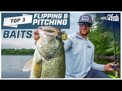 Hunter Shryock's Top 3 Flipping and Pitching Baits