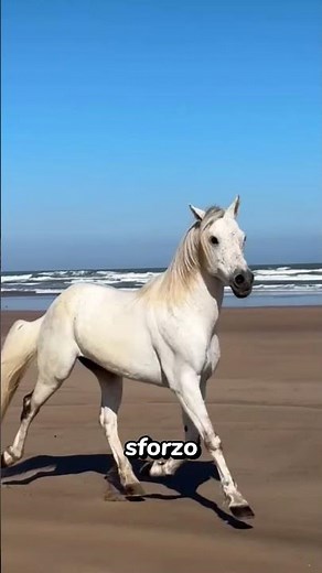 The Science Behind Post-Race Icing ❄️🐎 #horses #horsecare #equestrian