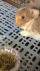 Angry!🥺😂 | Sunny Sharma