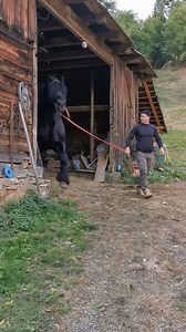 7.2K views · 102 reactions | Ever felt the thunderous power of...