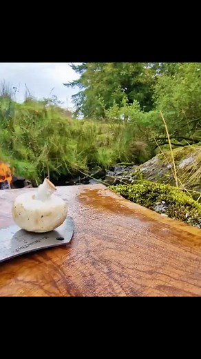 cooking in forest with dog #asmr #asmrcooking #asmrsounds #asmrcookingsound #asmrcookingsounds #cookingsounds