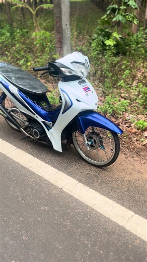 บักเทาไวเลส: เบื้องหลังความน่ารักและสีสัน