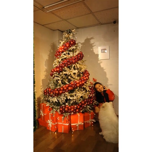 34K views · 302 reactions | spiral Christmas tree decorating ideas | Life and Fun Story | Facebook